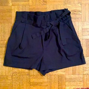 Women’s L Zara Navy Shorts